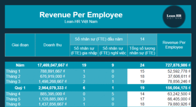 Bảng tính chỉ số Doanh thu trên Nhân viên