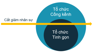 Áp dụng Lean-HR: có phải Cắt giảm nhân sự không?