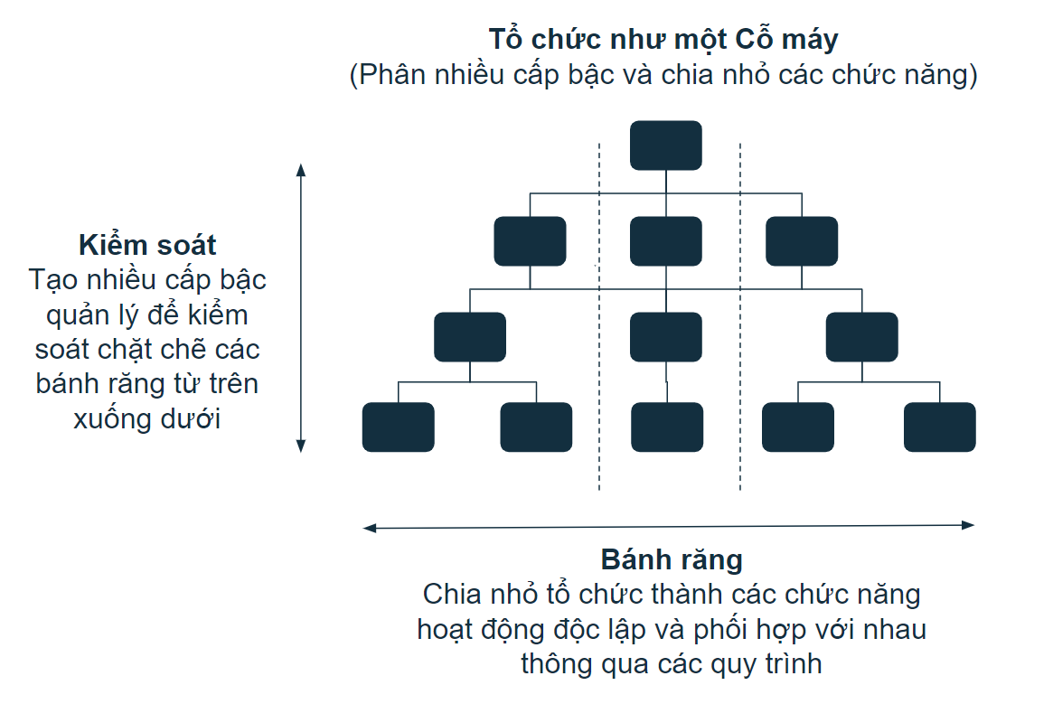 Cấu Trúc Phân Cấp