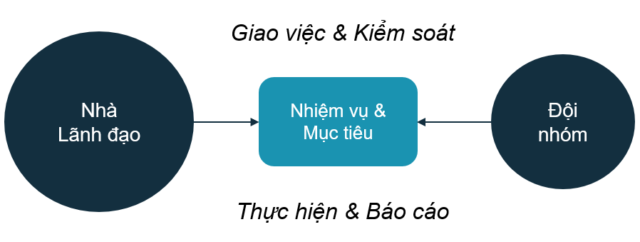 Lãnh đạo Thẩm Quyền