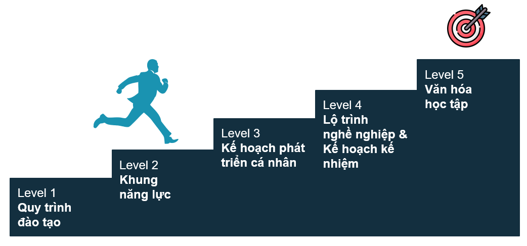 Lộ Trình Xây Dựng Hệ Thống L&d