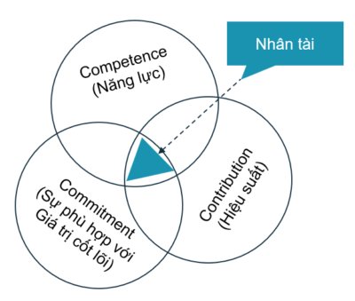 Bí quyết Đào tạo và Phát triển Nhân tài