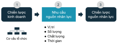 5 bước xây dựng CHIẾN LƯỢC NHÂN SỰ tinh gọn & hiệu quả