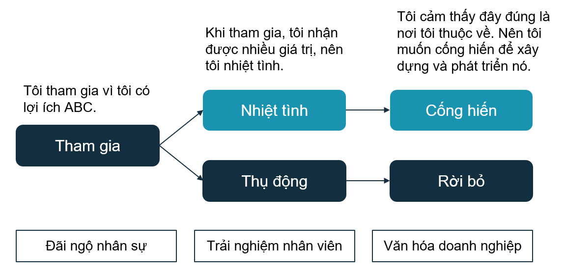 Quá Trình Gắn Kết