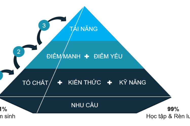 Mô Hình Phát Triển Tài Năng Của Nhân Viên