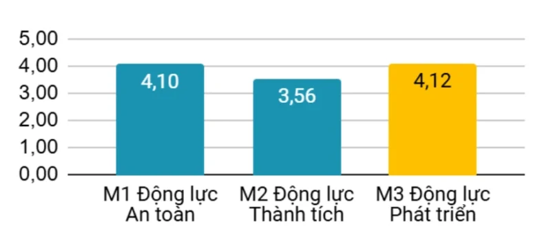 Khảo sát 3M Survey
