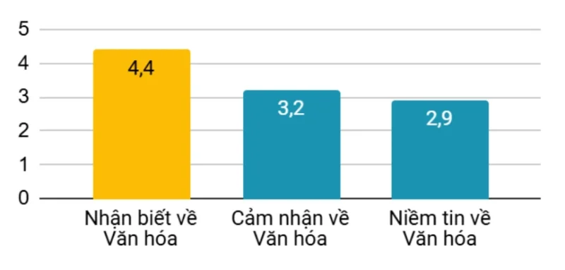 Khảo sát Chiều sâu Văn hóa