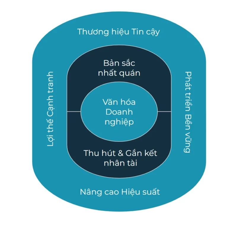 Tư vấn Văn hóa doanh nghiệp