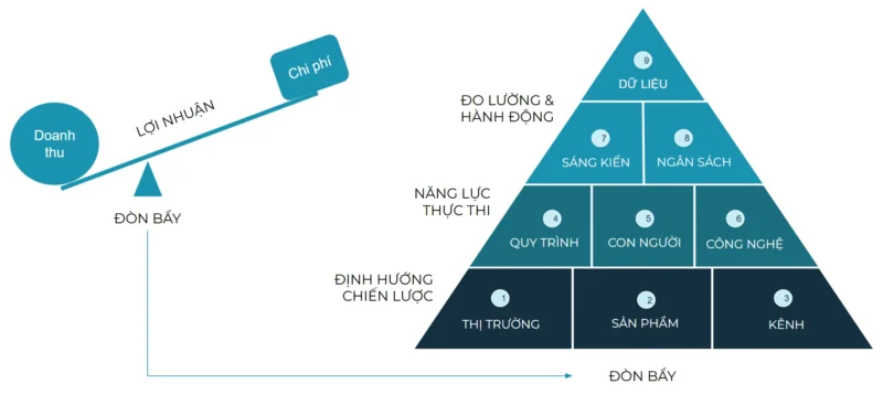 Đo lường Sức khỏe Tổ chức