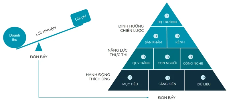 Đo lường Sức khỏe Tổ chức